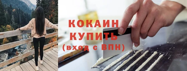 прущий лед Богородицк