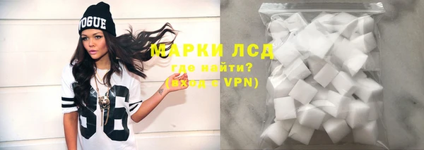 PSILOCYBIN Белокуриха