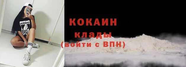 спайс Беломорск