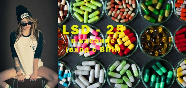 PSILOCYBIN Белокуриха