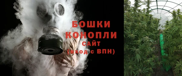 PSILOCYBIN Белокуриха