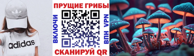 Галлюциногенные грибы GOLDEN TEACHER  где найти наркотики  Каменск-Уральский 